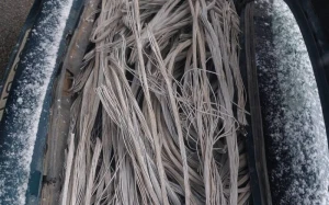 Elektrik naqilləri oğurlayan şəxslər saxlanıldı