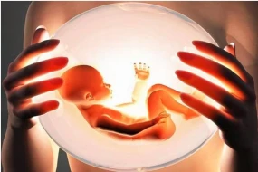 İnsan həyatının hamiləlik dövründəki toxunulmazlığı haqqında sənəd qəbul edildi