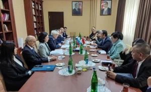 ADU-da İndoneziya Parlamentinin üzvləri ilə görüş keçirildi - FOTOLAR