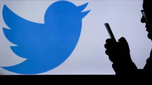 Aİ \"Twitter\"i tənqid etdi