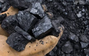 Qubada qanunsuz kömür quyuları aşkar edildi