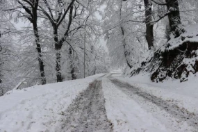Milli parkların qış mənzərəsi - FOTO