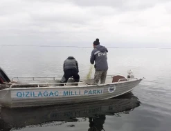 Qanunsuz ov hallarının qarşı nəzarət tədbirləri keçirildi - FOTOLAR