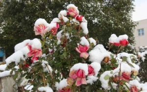 Sabahın havası AÇIQLANDI