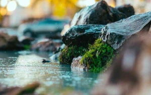 Novruzun ilk çərşənbəsində hava necə olacaq? 