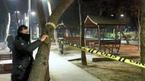 Parkda dəhşət: 4 nəfər yaralandı