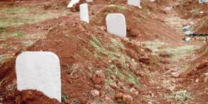 Məktəb bağçasında 17 qəbir tapıldı