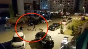 Qəfəsdən qaçan bəbir qarşısına çıxan hər kəsə hücum etdi - Ölü və yaralılar var (VİDEO)