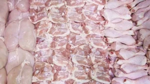 Bakıda it-pişik yemi olan toyuqlar əhaliyə satılır