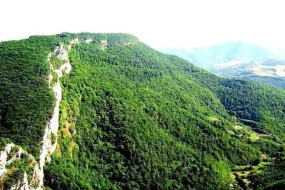 Topxana meşəsi ilə bağlı təkliflər hazırlanır