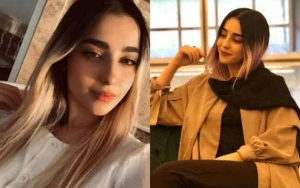 İranda azərbaycanlı rəssam həbs edildi