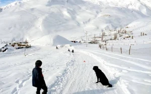 Bu rayona 30 sm qar yağıb - FAKTİKİ HAVA