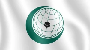 İƏT Azərbaycan ərazisində təbii sərvətlərin qanunsuz istismarını pisləyir