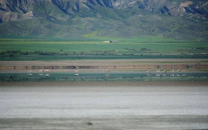 Yeni Milli Park yaradılması nəzərdə tutulur