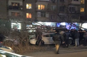 Bakıda ağac avtomobillərin üzərinə aşdı - FOTO/VİDEO