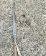 Ovçuluq təsərrüfatının ərazisində qanunsuz ov edən şəxs CƏZALANDIRILDI