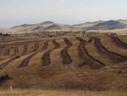 \"Dostluq Meşəsi\"ndə və ətrafdakı yamaclarda bugünədək 50 minə yaxın ağac əkilib - FOTOLAR