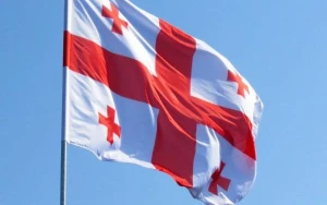 “Tamamilə qəbuledilməzdir” - Gürcüstan XİN