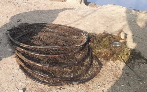 Qanunsuz ov edənlər cəzalandırıldı