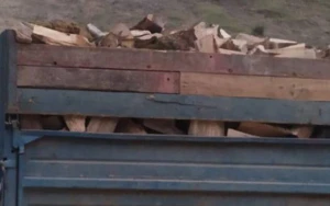 Qanunsuz daşınan meşə materialları bağlı araşdırma aparılır