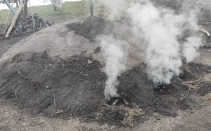 Üç rayonda qanunsuz kömür quyuları aşkarlandı - FOTOLAR