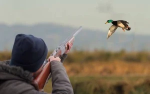 Qanunsuz ov edən şəxslər cəzalandırıldı - FOTO