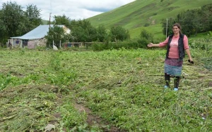 Sel nəticəsində bu fermerlərə dəymiş ziyan ödəniləcək