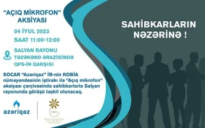 Sahibkarlarla növbəti görüş Salyanda keçiriləcək