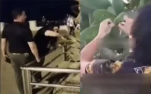 Bulvarda dekorativ ağaca zədə vuran qadın cərimələnib - YENİLƏNDİ