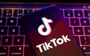 TikTok Azərbaycanda 400 minə yaxın videonu sildi