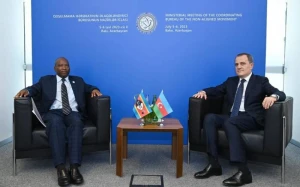 Azərbaycanla Esvatini arasında əməkdaşlıq müzakirə olundu