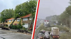 Dəhşətli fırtına ağacları kökündən çıxardı - VİDEO