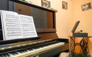 Musiqi sənəti üzrə qabiliyyət imtahanlarının vaxtı AÇIQLANDI