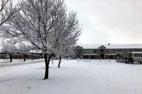 Yayın ortasında Afrikaya qar yağıb - VİDEO