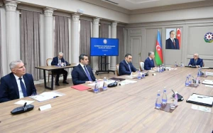 Gədəbəydə qalmaqallı şirkətin fəaliyyəti dayandırıldı