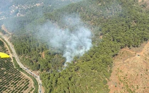 Muğlada meşə yanır