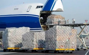 Azərbaycanda hava nəqliyyatı ilə yükdaşımalar artıb