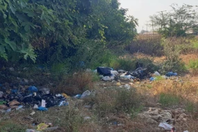 Masallıda ətraf mühiti zibilləyən 7 nəfər barəsində tədbirlər görüldü