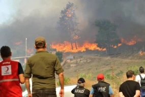 Çanaqqalada meşə yanğınları 8 kəndə zərər vurdu 