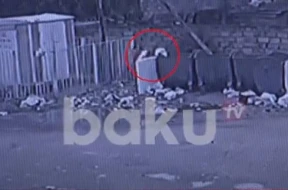 Bakıda ana əlləri ilə körpəsini zibil yeşiyinə belə atdı - VİDEO
