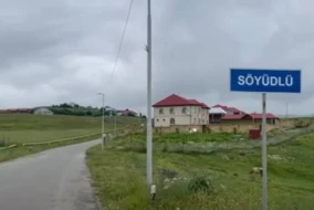 Söyüdlü ilə bağlı təkliflər HAZIRLANDI