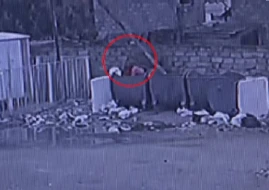 Körpəsini zibil qutusuna atan ana ilə bağlı TƏFƏRRÜAT - VİDEO