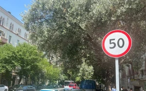 Daha 2 küçədə sürət həddi endirilir - FOTOLAR