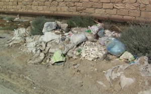 Ətraf mühiti çirkləndirən vəzifəli şəxslər cərimələndi - VİDEO