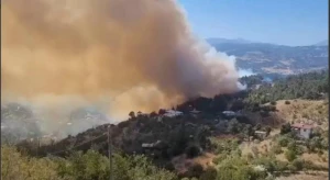 Kahramanmaraşda meşə yanğını evlərə də keçdi