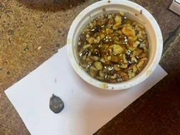 Ana həbsdəki oğluna narkotik keçirmək istədi