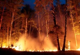 Bu rayonlarda yanğın indeksi yüksəkdir - XƏBƏRDARLIQ