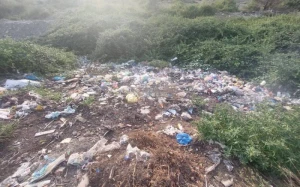 Daha bir bələdiyyə sədri cəzalandırıldı