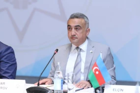 \"Azərbaycan vəkilliyi olaraq qəbul edilən mütərəqqi qanun layihəsini alqışlayırıq\" - Anar Bağırov