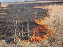 Biçilmiş əkin sahəsini yandıran şəxs aşkarlandı